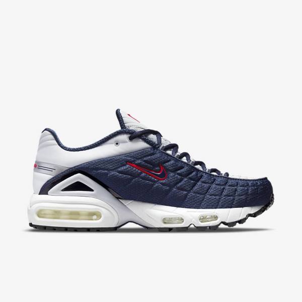 Nike Air Max Tailwind V SP Moški Superge Platina | NK701BQN