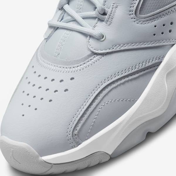 Nike Jordan Point Lane Moški Superge Platina | NK961MCG