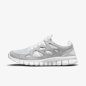 Nike Free Run 2 Moški Superge Platina | NK317BXM